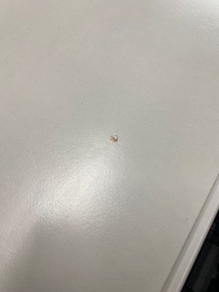 f10146ccce0a287494a0ed42d9eec878_1786055871_9412.JPG
