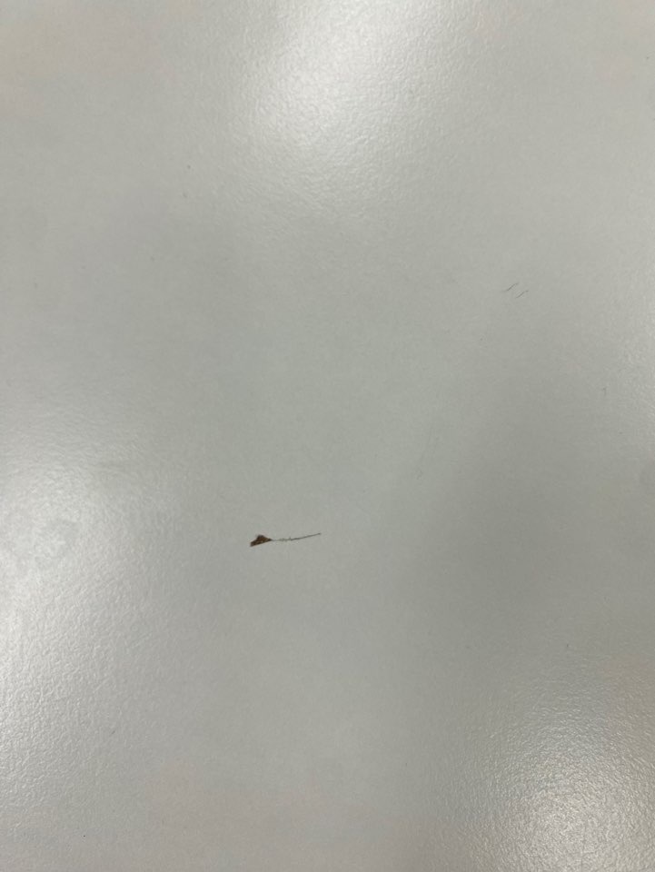 f10146ccce0a287494a0ed42d9eec878_1786055871_9849.JPG
